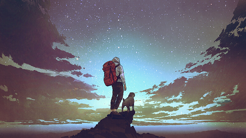 Illustration: A hiker, wearing a hikinkg pants, a grey sweatshirt, and a red rucksack stands atop a rock outcropping with their dog. The two are staring into the night sky.
