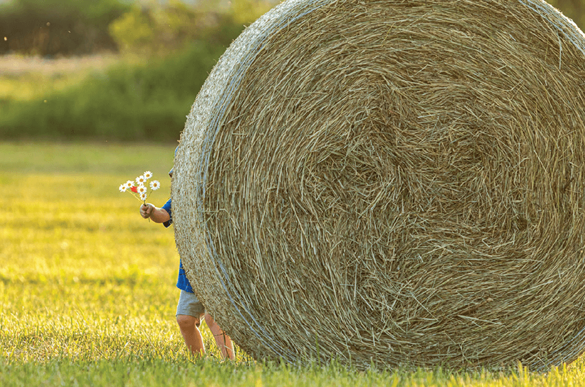 A small child hides behind a hay bail holding a small boquet of wildflowers.