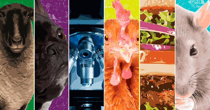 A collage of digital illustrations of a dog, microscope, chicken, burger, and mouse.