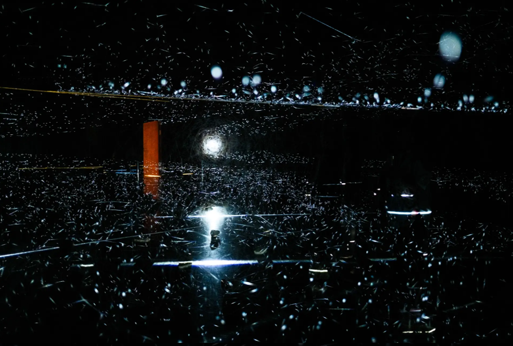 2025 PhotoCup Winner