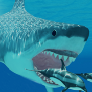 PANDEMIC! Shark Week(end)