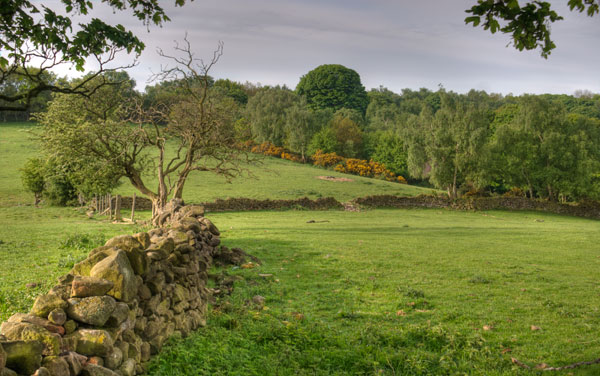 English countryside photo