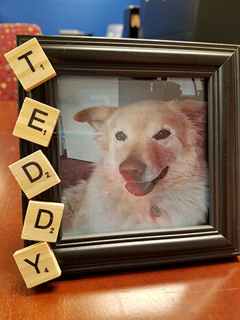 Picture of a dog with Scrabble tiles glued to the picture frame