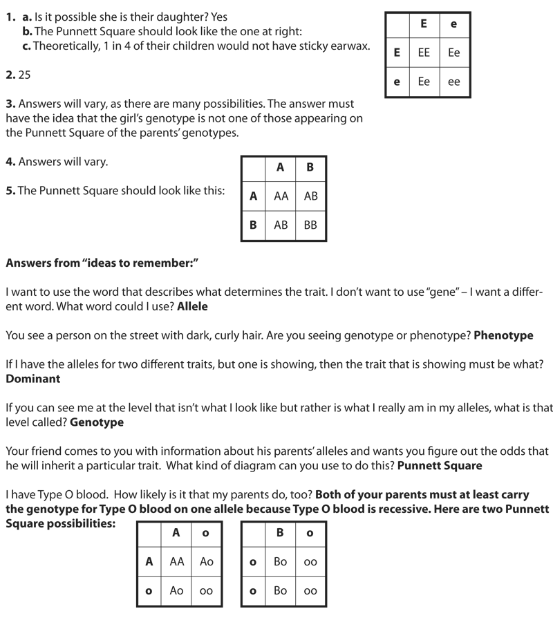 30-genetics-problems-worksheet-answer-key-support-worksheet