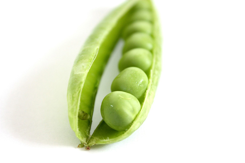 are pea pods good for dogs