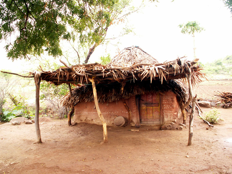 grass hut