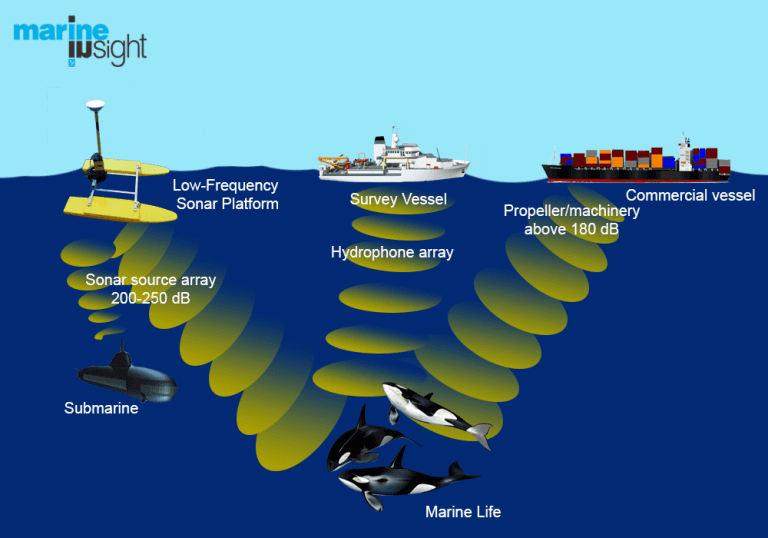 Graphic displaying the different types of machinery that contribute to ocean noise pollution