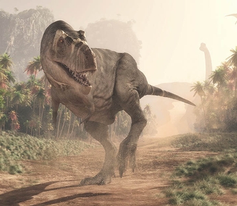 Shape-Shifting Dinosaurs